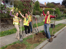 NOCA crew celebrates tree planting!