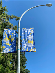Street Banner Design by Amy Pye (100 years of Rotary)