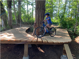 Tree Bridge at Mountain Bike Skills Park