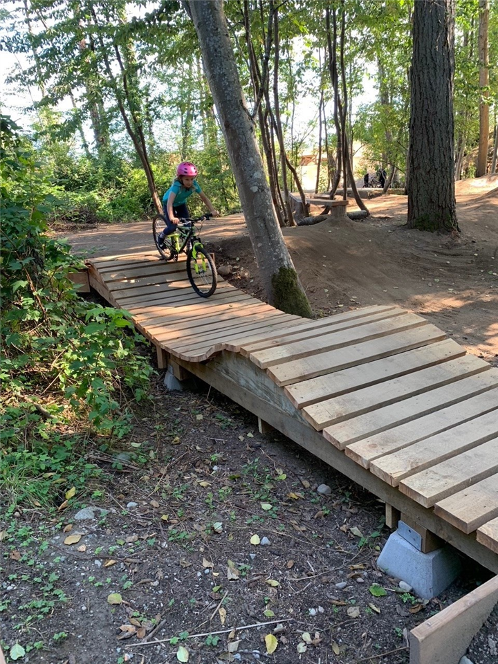 Mtb cheap skills park