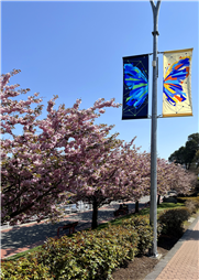 2025 City of Nanaimo Street Banners