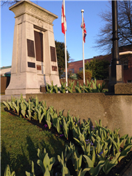 Nanaimo's Dutch-Canadian Friendship Tulip Garden