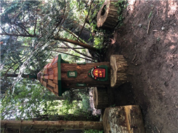 Neck Point Fairy Home