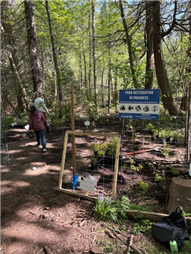 Restoration Planting