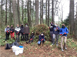 Students from Nanaimo District Secondary School removing invasive plants
