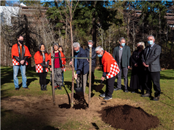 Ceremonial Cherry Tree Planting
