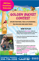 Golden Bucket Poster