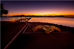 Dungeness Crab by Dan Richey