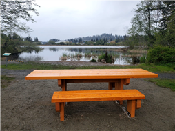 Accessible picnic table at Diver Lake Park