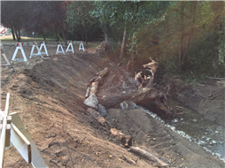 Bank erosion work in Woodstream Park
