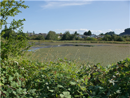 Buttertubs Marsh