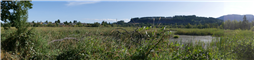 Panorama of Buttertubs Marsh