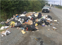 Dump site on Shenton Road