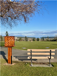 Waves by Mauro Dalla Costa