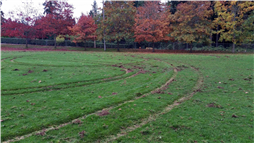 Vandalism on field in Pleasant Valley Park