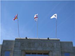June 21 flag placement event