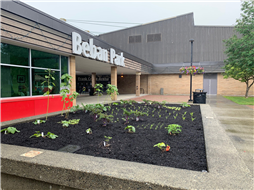 Beban Park vegetable demonstration garden