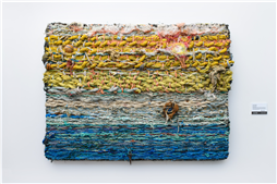 Sea Bed, Peter Achurch, 2020