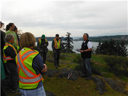 Invasive Plant Removal at Sugarloaf Mountain