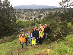 Sugarloaf Broom Removal