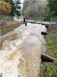 South of Mount Benson on Nanaimo Lakes Road at the Chase River crossing, 9:15am, November 15, 2021