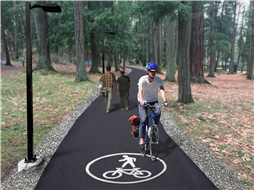 Bowen Park Trailway Render