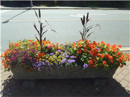 Street Planter