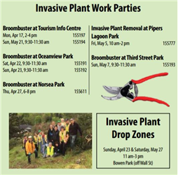 Invasive Plant Work Parties Schedule