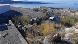 Beach Creek Estuary and Marine Spit