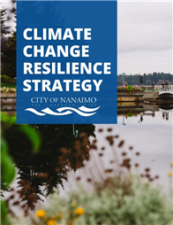 Climate Change Resilience Strategy cover image