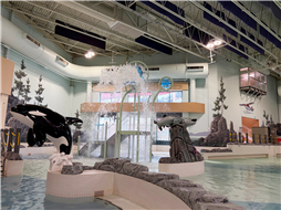 NAC's new accessible water feature