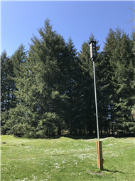 Bat Box at Divers Lake Park