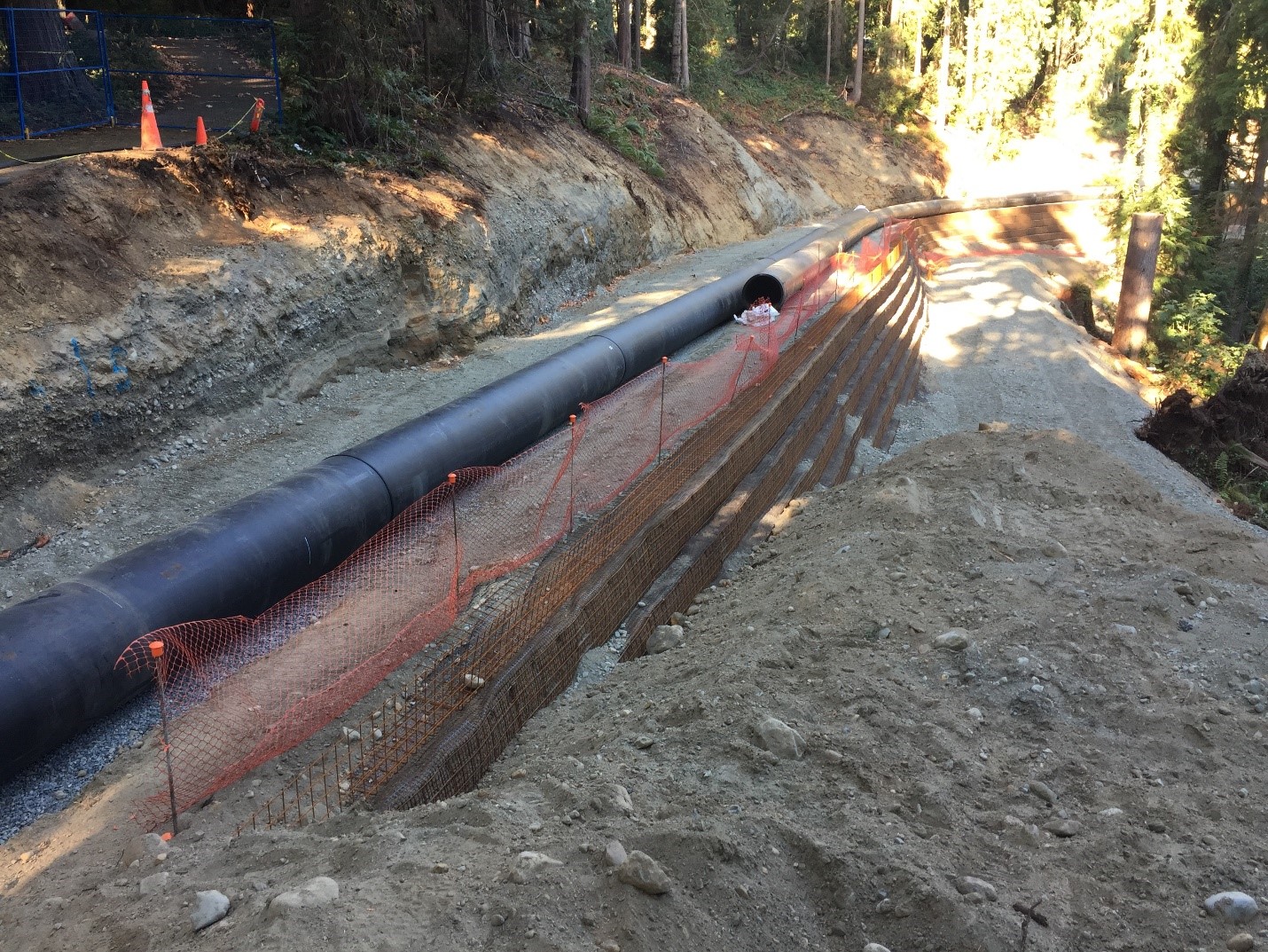 Bowen Park Trailway construction update for July and August