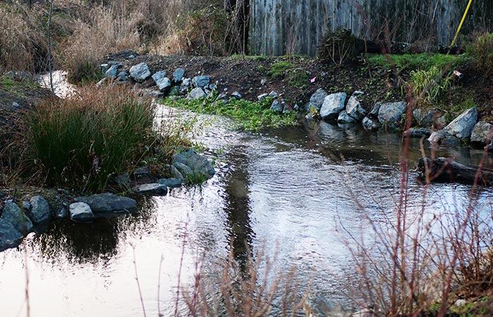 Departure Bay Creek