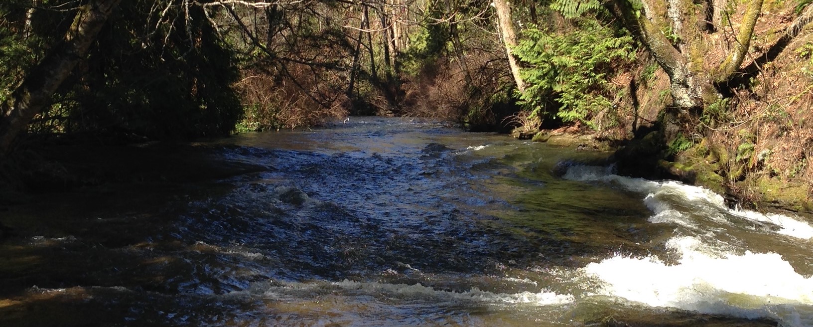 Millstone River (2)