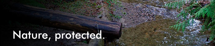 A log placed near a part of Woodstream, titled Nature Protected