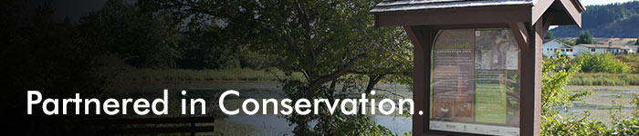 header image of Buttertubs Marsh info sign titled Partnered in Conservation