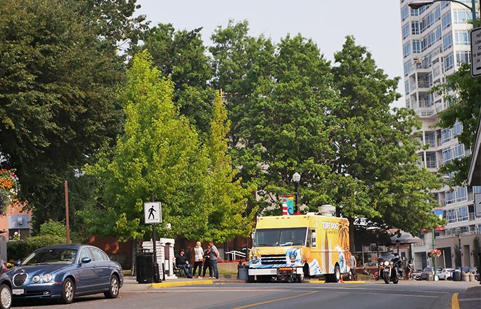 Trees line the side of a downtown street