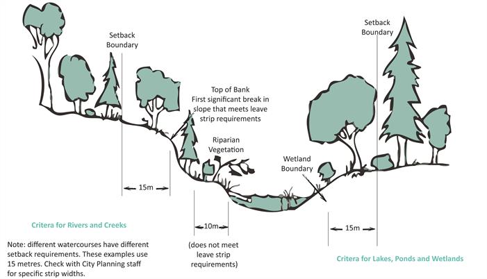 watercourse_illustration