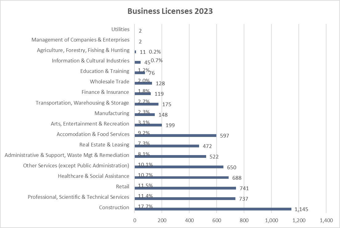 A chart comparing types and numbers of business licenses in Nanaimo for 2022
