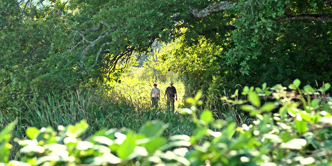 A couple is walking through overhanging green foliage at Buttertubs Marsh in Nanaimo