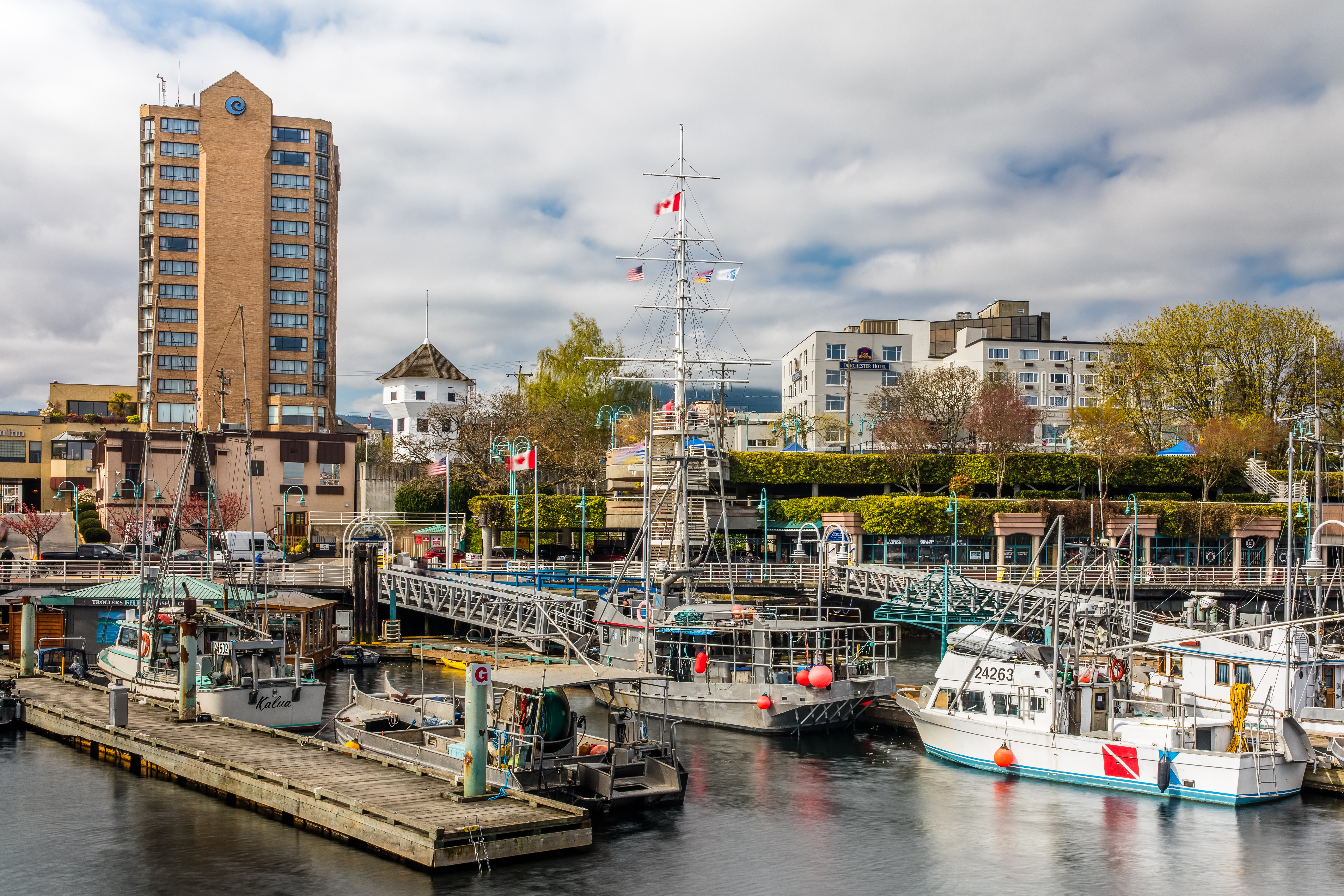 A photo from the water showing the boat basin and downtown buildings behind it