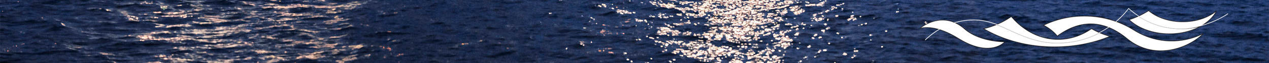 skinny image of water with Nanaimo's wave logo in white, matching the harbour shot above