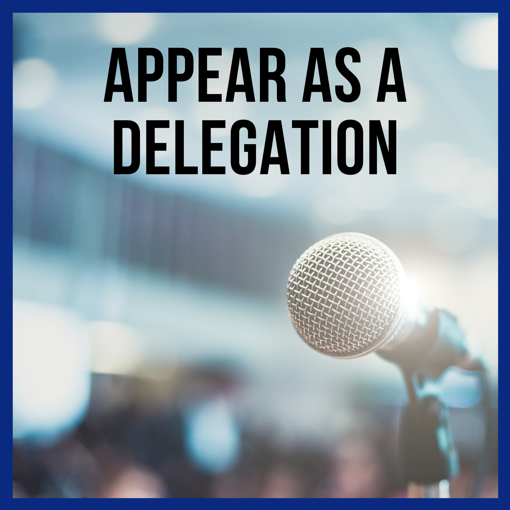 Appearing as a Delegation