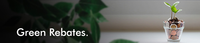 A banner image of a jar filled with coins and a couple of plant sprouts.