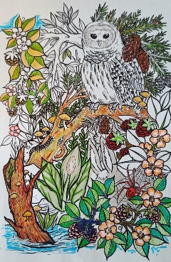 Colouring in Progress