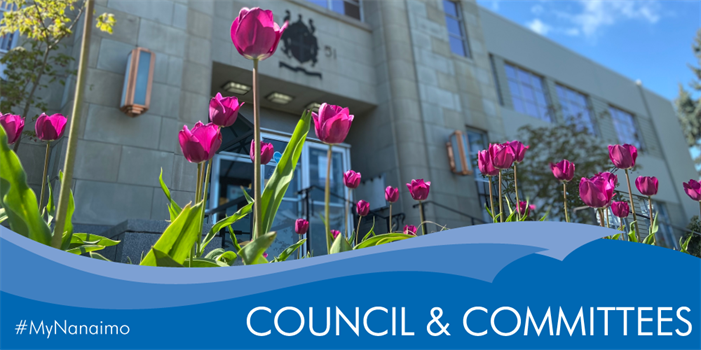 Council and Committee header image
