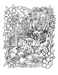 Deer Colouring Page Deer Colouring Page