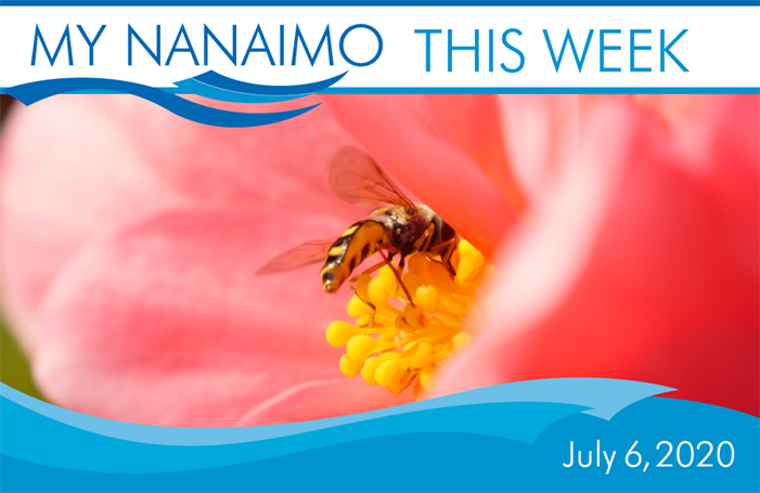 MyNanaimo-Header-July-6