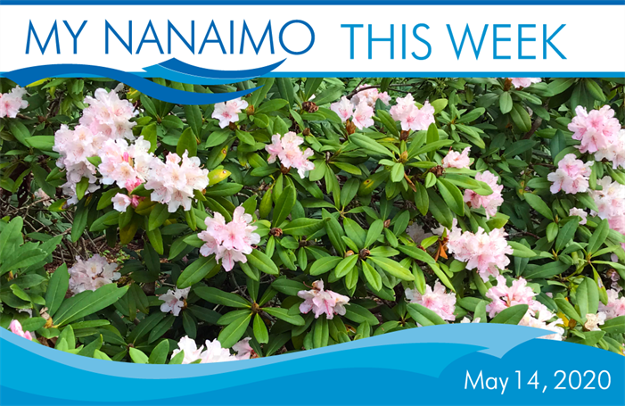 MyNanaimo-Header-May-14